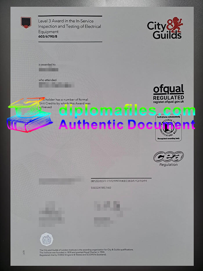 purchase realistic City & Guilds Level 3 Award in the In Service certificate