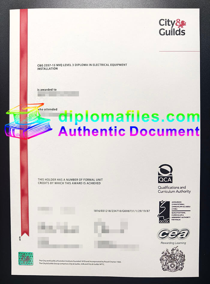 purchase realistic City & Guilds NVQ Level 3 Diploma
