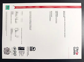 purchase realistic City & Guilds NVQ Level 3 Diploma