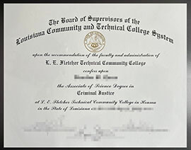 purchase realistic LCTCS degree