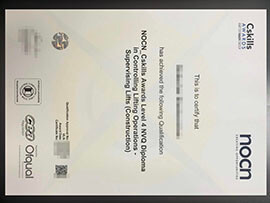 purchase realistic NOCN Cskills Award Level 4 NVQ DIploma
