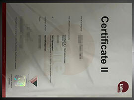 purchase realistic TAFE Queensland Certificate II