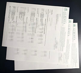 purchase realistic University Alberta Transcript