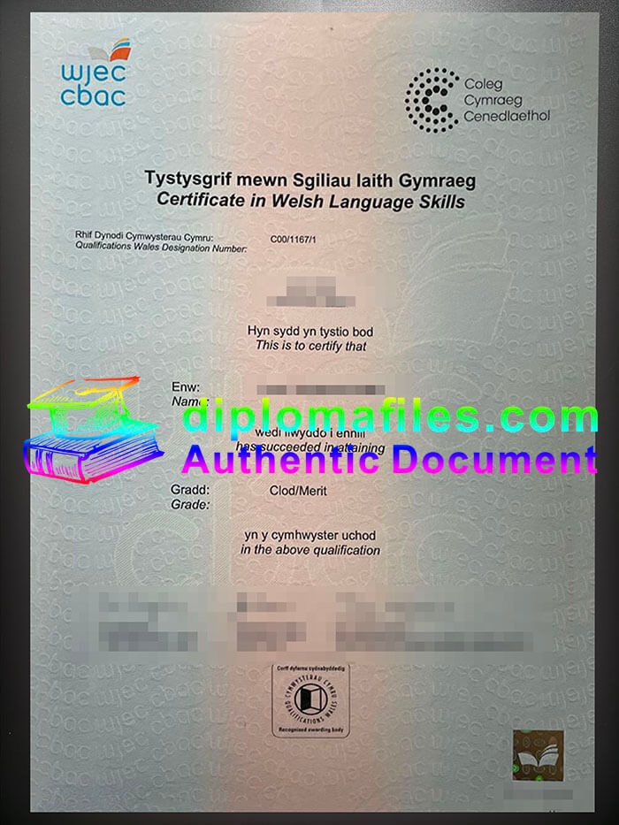 purchase realistic WJEC Tystyagrif Mewn Sgiliau Laith Gymraeg
