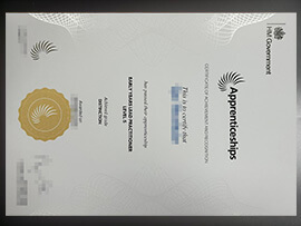purchase realistic HM Government Apprenticeships Certificate