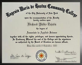 purchase realistic Hostos Community College degree
