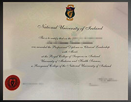 purchase realistic National University of Ireland degree