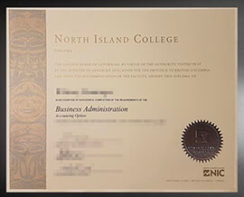 purchase realistic North Island College diploma