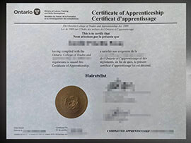 purchase realistic Ontario Ministry of Labour Training and Skills Development certificate