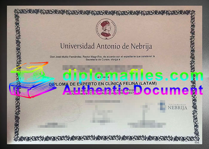purchase realistic Universidad Antonio de Nebrija diploma