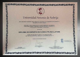 purchase realistic Universidad Antonio de Nebrija degree