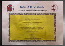 purchase realistic Universidad Antonio de Nebrija diploma