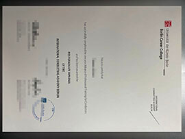 purchase realistic Universitat der Kunste Berlin diploma